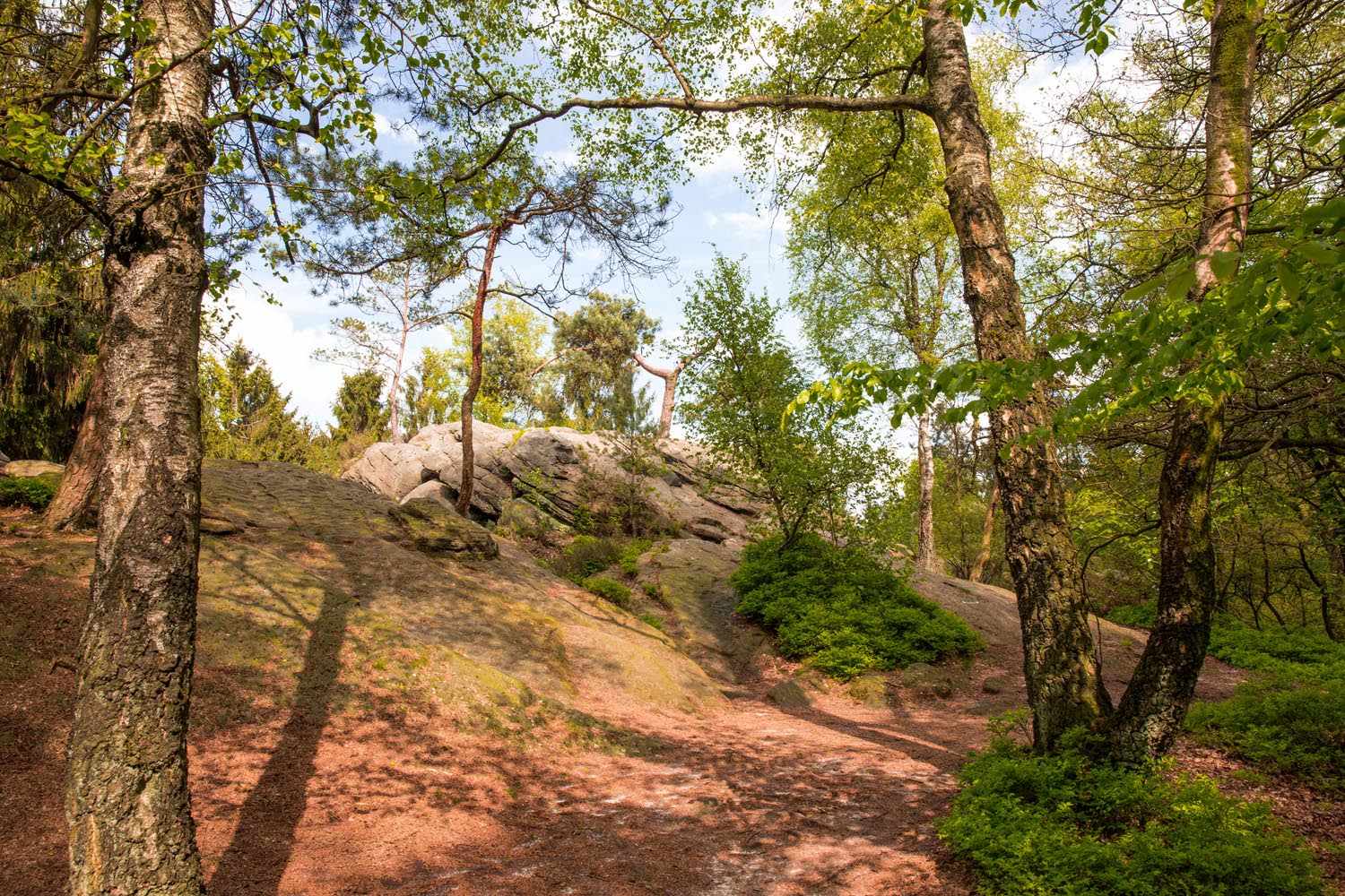 Dörenther Klippen / Tecklenburger Land / Teutoschleifen